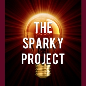 Share your Opinion in THE SPARKY PROJECT Forum